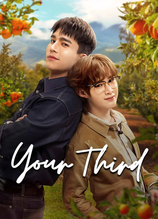 Your Third